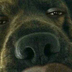 Meet your Posher, Stephen